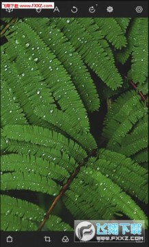 ������ͼappios�ֻ���