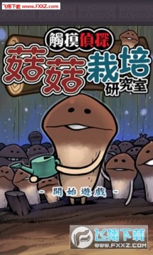 ��������DX������