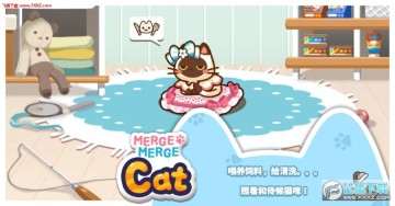 合并礼包猫安卓版 合并礼包猫安卓版