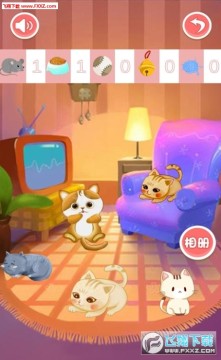 猫咪乐园红包版 猫咪乐园红包版