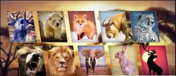 ��������ģ�����ֻ����İ�