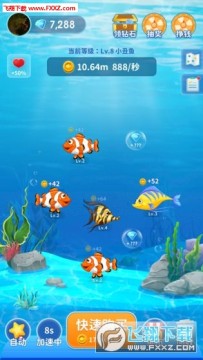 �����Խ�������