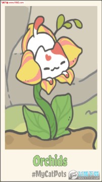 �ҵ�è����