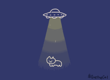 eveonecat�����