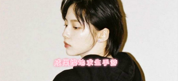 成果绝地求生直播_成果绝地求生id_成果绝地求生