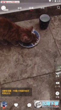 ��ե����Ӣ��ѧϰ����