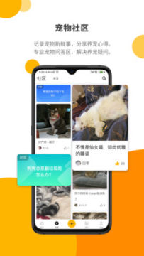 Paw Lab宠物社区app Paw Lab宠物社区app