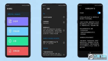 �Զ������������app