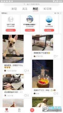 ��������app