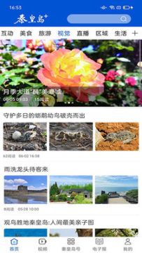 �ػʵ�Plus�ٷ���