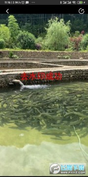 ���ȫ��ȥˮӡ������app