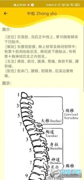 人体穴位图解大全手机版 人体穴位图解大全手机版