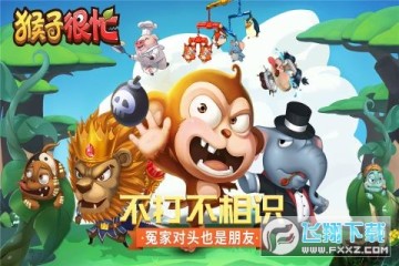 猴子很忙 猴子很忙