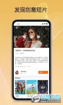 CSFF��Ƭ�ֻ���