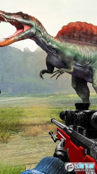 ��������2021