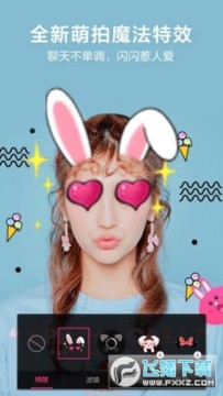 ������ֵ���