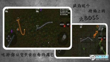 蛇蛇进化作战手游 蛇蛇进化作战手游