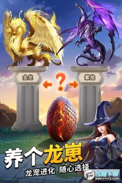 �����½������