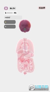 ����life����