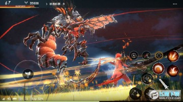 Բ����Լ���ΰ�׿��