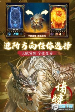 �����������¸�����