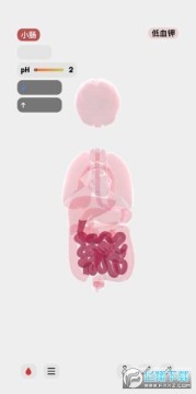 life生命模拟器安卓版 life生命模拟器安卓版