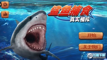 ��ʵģ�����㲶ʳ��׿��