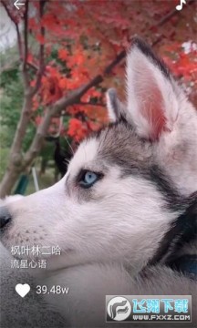 乐刷刷短视频app赚钱版 乐刷刷短视频app赚钱版