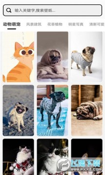 Ԫ��С�������app