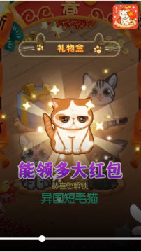 �����в��ݺ����