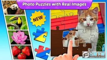 puzzle kids��׿��