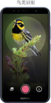 ��������ʶ��