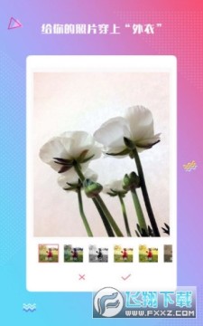 ħ�������