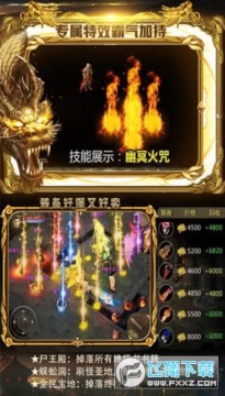 甄子丹传奇官方正版 甄子丹传奇官方正版