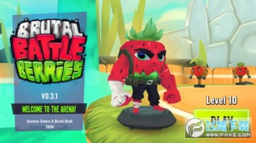 ��ݮ��ս������