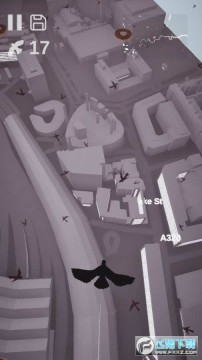 鸽子爱情故事手机版 鸽子爱情故事手机版