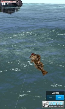 怪鱼猎人2021钻石破解版 怪鱼猎人2021钻石破解版