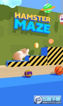 Hamster Maze�ٷ���