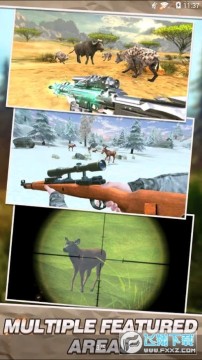 ���������ڹ��ƽ��