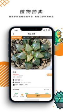 一植拍app官方版 一植拍app官方版