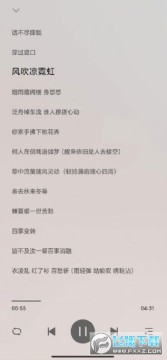 DSO����app��ˬ��