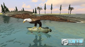 ��ӥģ�������İ�