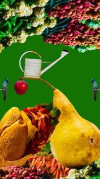 ���η�����Ϸ���������