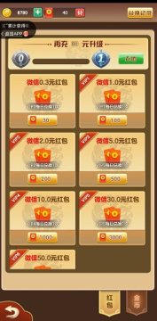 ��ʯ������