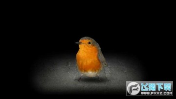 ����Ϸ��׿��