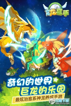 育龙高手 育龙高手