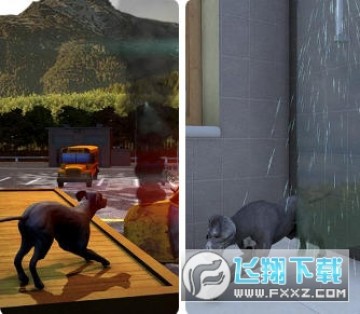 大丹犬模拟器无限金币破解版 大丹犬模拟器无限金币破解版