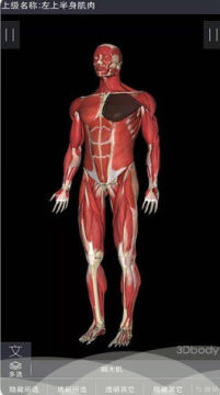 3Dbody艺用安卓版 3Dbody艺用安卓版