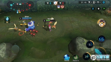 ���龺����