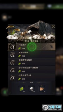 СС�������֤��